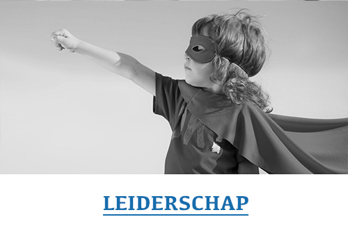 leiderschap_grey